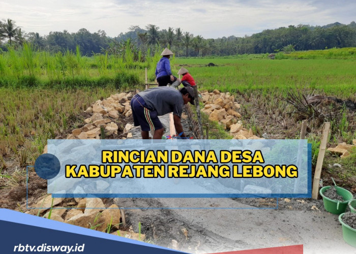 Rincian Dana Desa Kabupaten Rejang Lebong di Tahun 2024, Mana Desa dengan Alokasi Dana Terbesar?