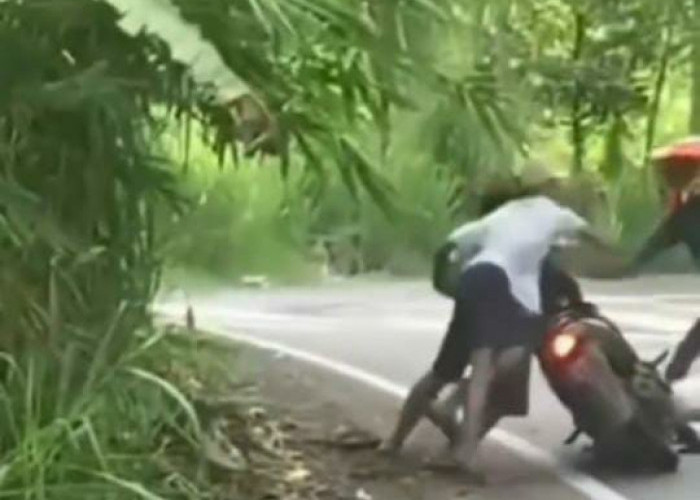 Begal Bersenjata Tajam Beraksi Siang Bolong di Padang Ulak Tanding, Koban Melawan Pelakunya Kabur ke Hutan 