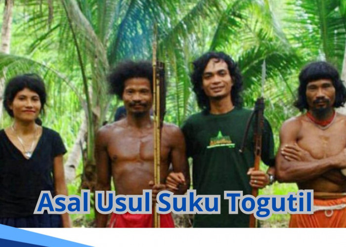 Mengenal Asal Usul Suku Togutil, Kelompok Etnis Primitif Penghuni Belantara Halmahera