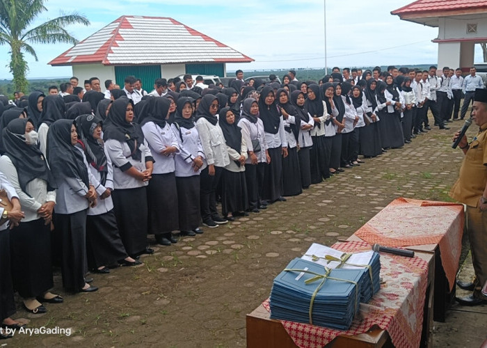 Antre Ambil SK Pengangkatan, 350 Guru PPPK Padati Dinas Dikbud Seluma