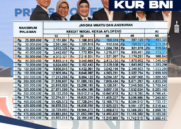 Cara Ajukan Pinjaman KUR BNI 2024 Rp50 Juta Tanpa Jaminan via Online dan Offline