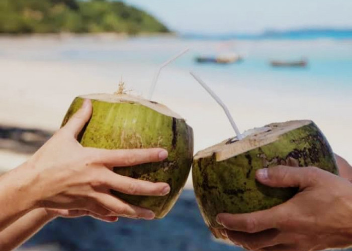 Wow, Ternyata Ini Manfaat Minum Air Kelapa Muda Selama 7 Hari, Penyakit Jenis Ini Jadi Sungkan