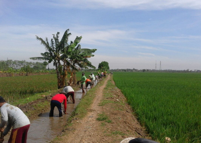 Dana Desa di Kabupaten Enrekang Tahun 2024, Lengkap Seluruh Desa