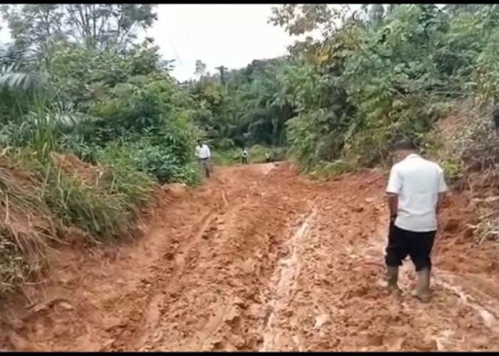 Belasan Kilometer Jalan Rusak Milik Provinsi Diusulkan Diperbaiki