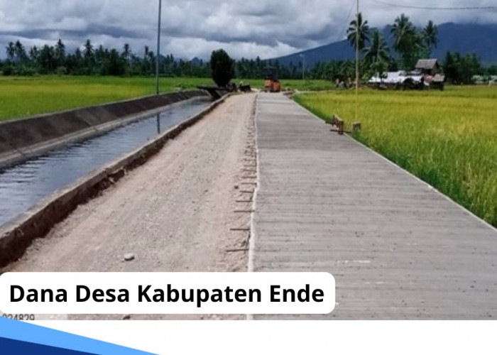 Dana Desa di Kabupaten Ende Tahun 2024, Ini Rinciannya per Desa