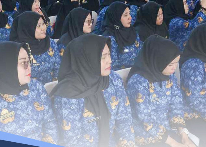 Kecewakan BKN, Ini 5 Alasan PPPK Mengundurkan Diri Sebelum Habis Masa Jabatan