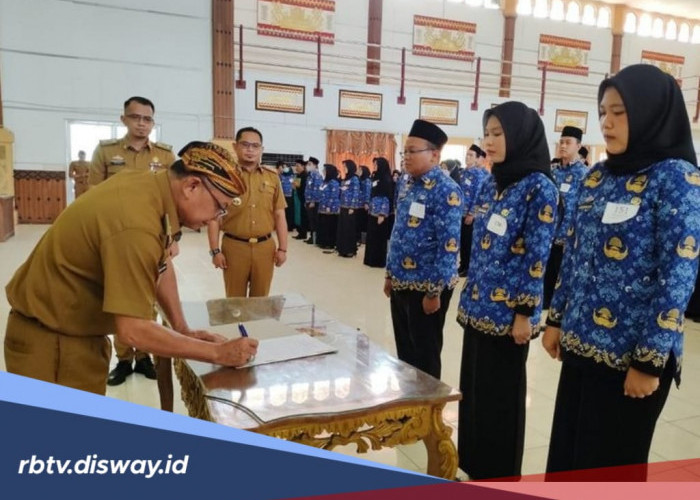 Honorer Bisa Diangkat Langsung jadi PPPK Tanpa Tes, Ini Syaratnya