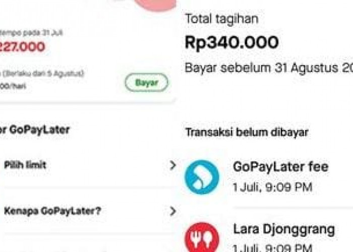 Pakai GoPayLater Memang Asik Buat Belanja, Kamu Harus Tahu Segini Besaran Denda Kalau Telat Bayar