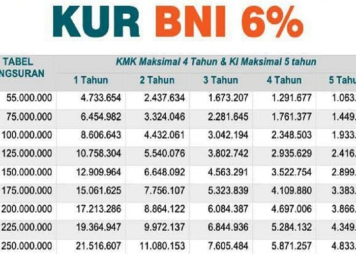 Pilihan Tenor dan Cicilan KUR BNI 2024 Plafon Pinjaman Rp30 Juta, Berikut Syarat Pengajuannya