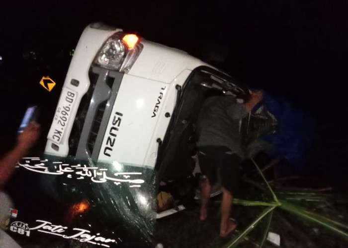 Antar Pisang 3 Ton ke Jakarta, Mobil Traga Asal Curup Terguling di Seluma Barat