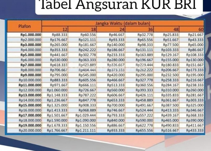 Simak, Angsuran Pinjaman Rp 85 Juta KUR BRI 2024 Cicilannya Rp 1 Jutaan, Tempo 5 Tahun 