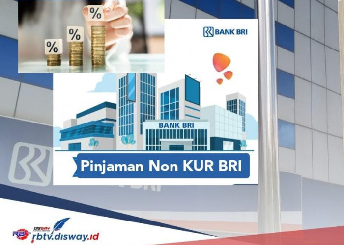 Banyak Untungnya, Pinjaman Rp 50 Juta Non KUR BRI 2024 Bisa Dicicil Sampai 60 Bulan 