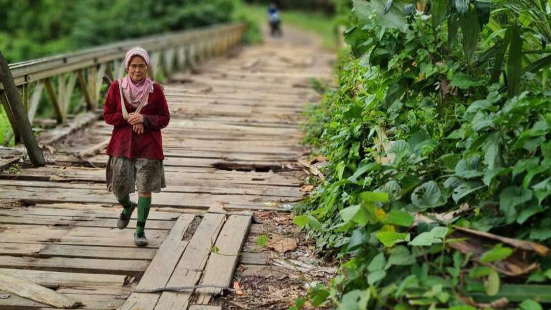 Harga Karet Anjlok Rp 5.000 per Kg, Petani Alih Profesi