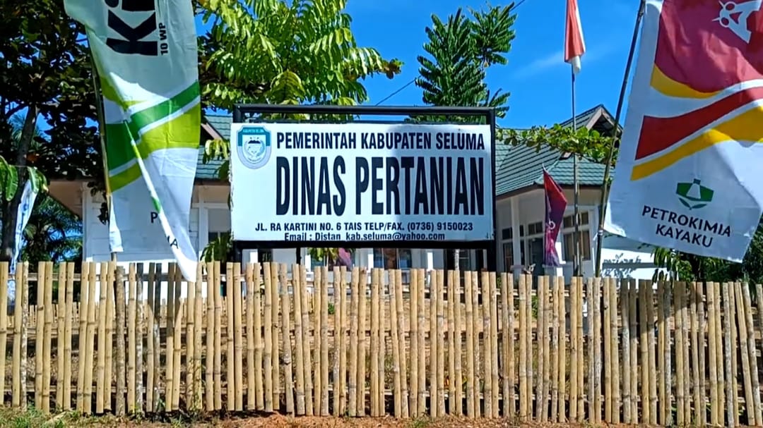 PMK di Seluma Capai 962 Kasus