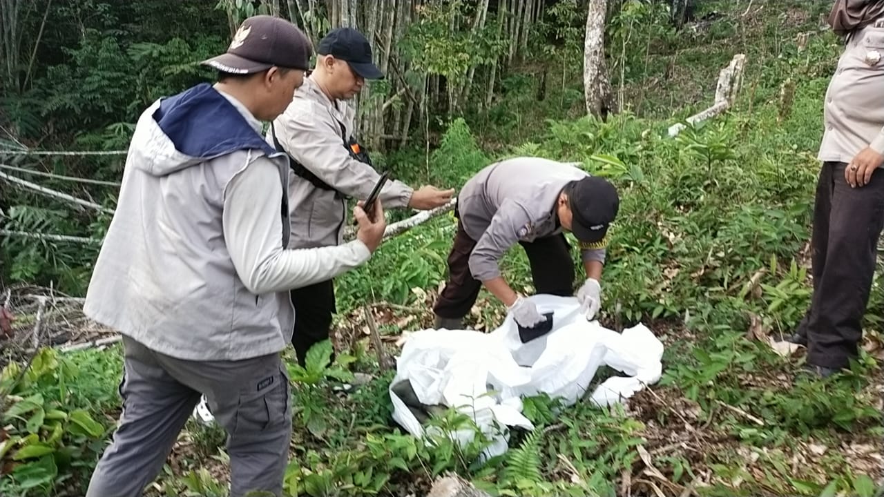 Heboh Temuan Kerangka Manusia di Bermani Ulu