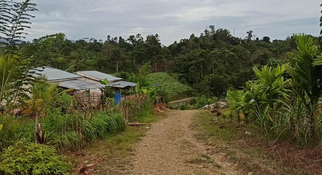 Rp 3 Miliar untuk Pengembangan Kawasan Transmigrasi Batu Ampar