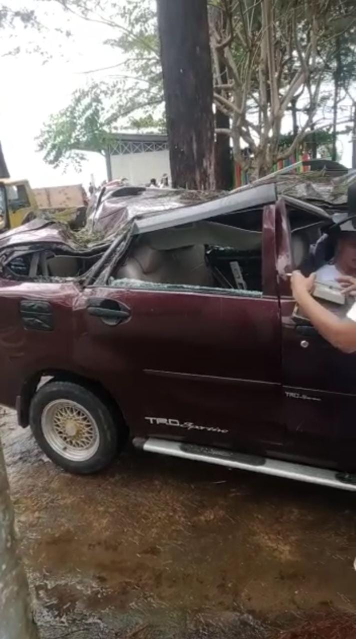 Badai, 3 Mobil Jadi Sasaran Pohon Cemara